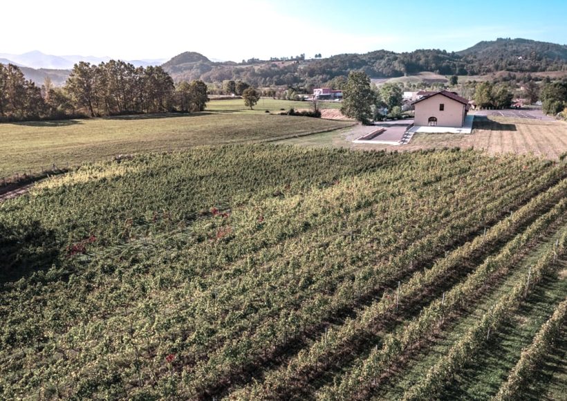 Vinarija Gotovac