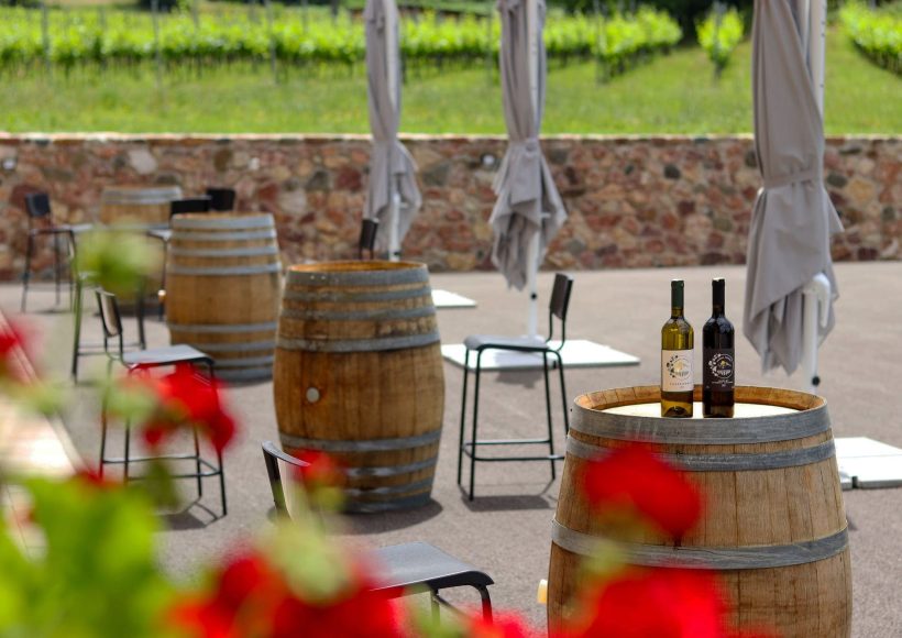 Vinarija Gotovac