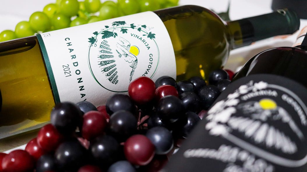 vinarija-gotovac-vinograd12